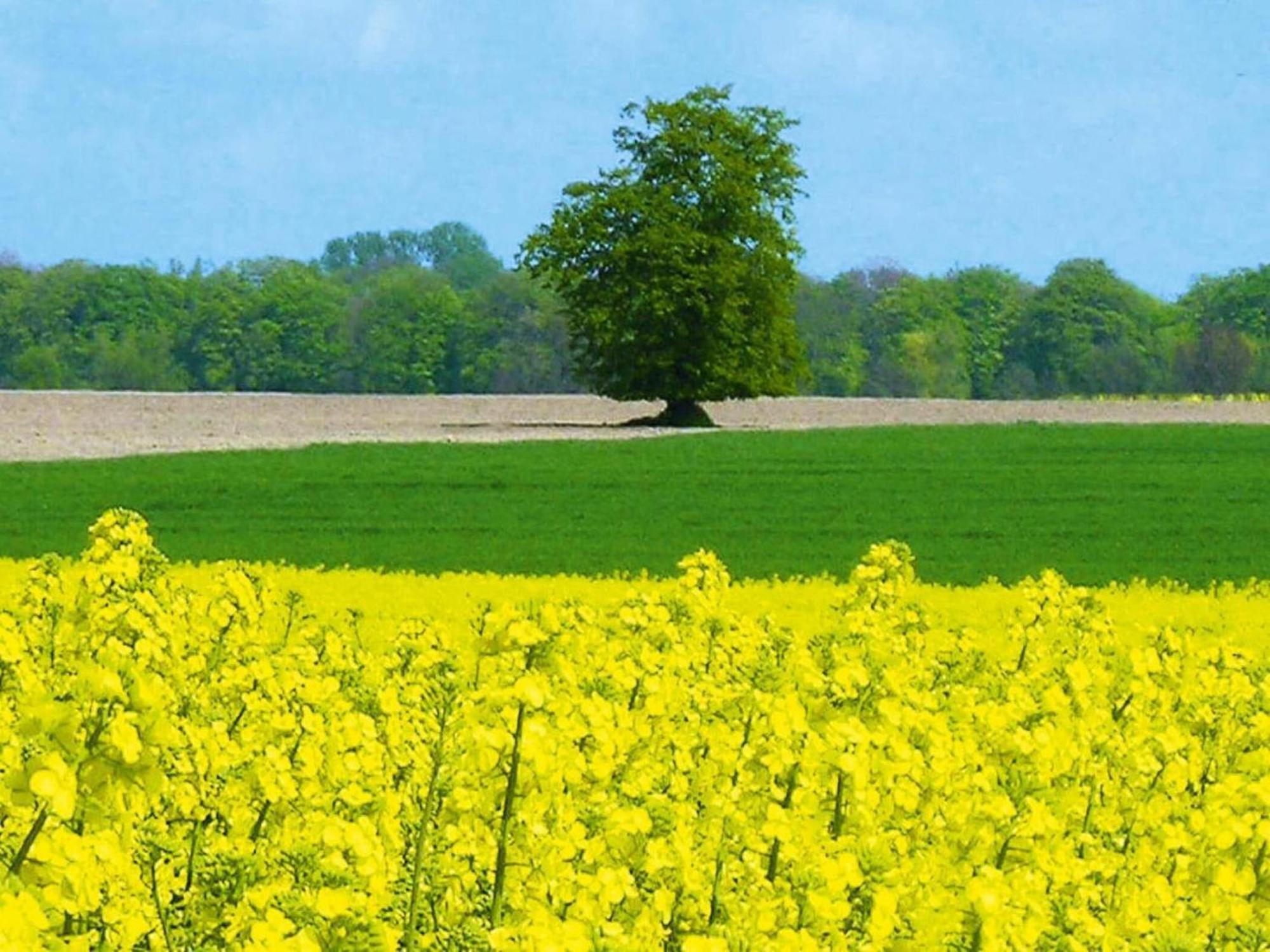 Ferienwohnung In Schwerin Schwerin  Luaran gambar